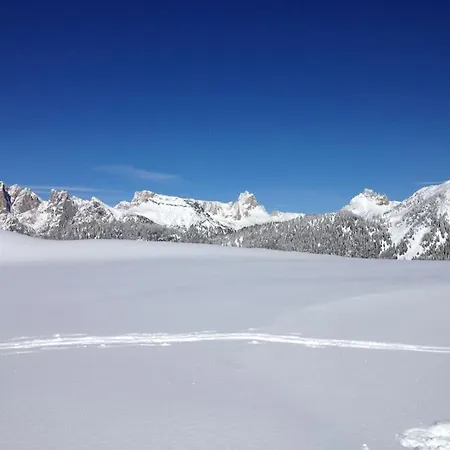 Apartamento Alberta *