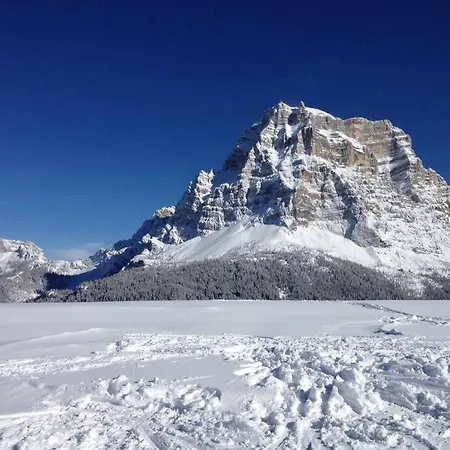 Apartament Alberta